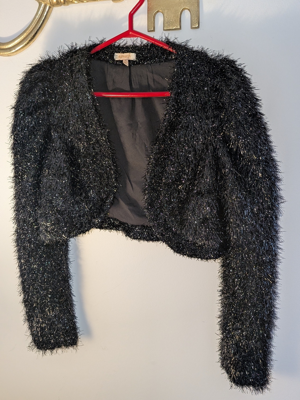 Fuzzy Metallic Black Cropped Jacket - By A Peach
